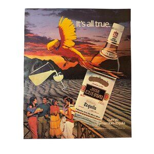 Vintage 1983 Jose Cuervo Tequila Parrothead Parrot Advertisement Print Ad